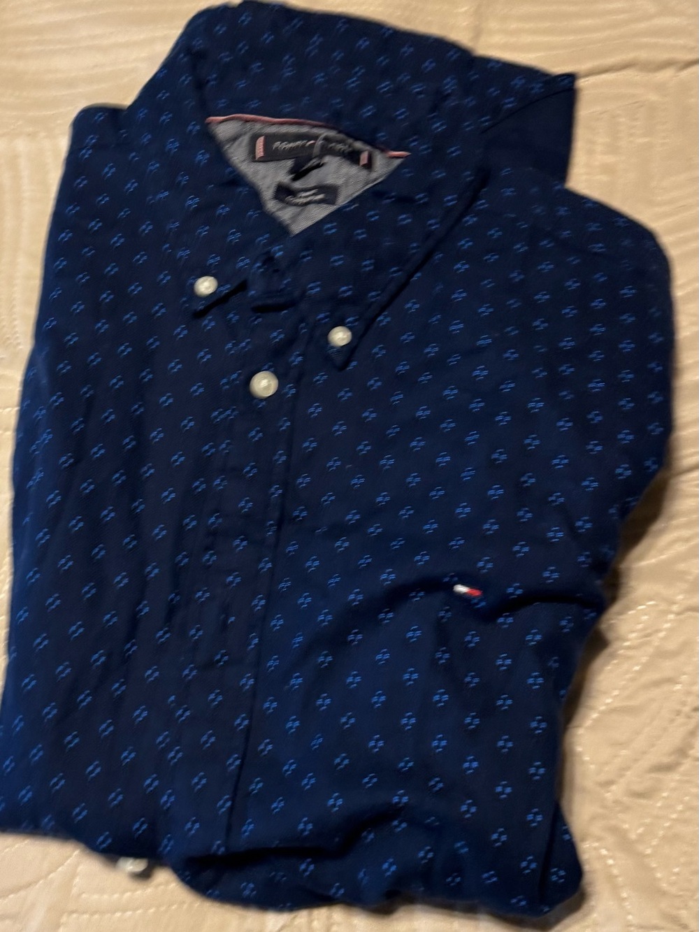Tommy Hilfiger Blue Micro-Pattern Button-Down Shirt Large
